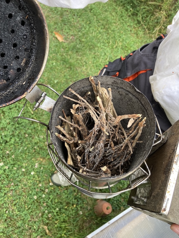 bienen2.jpg