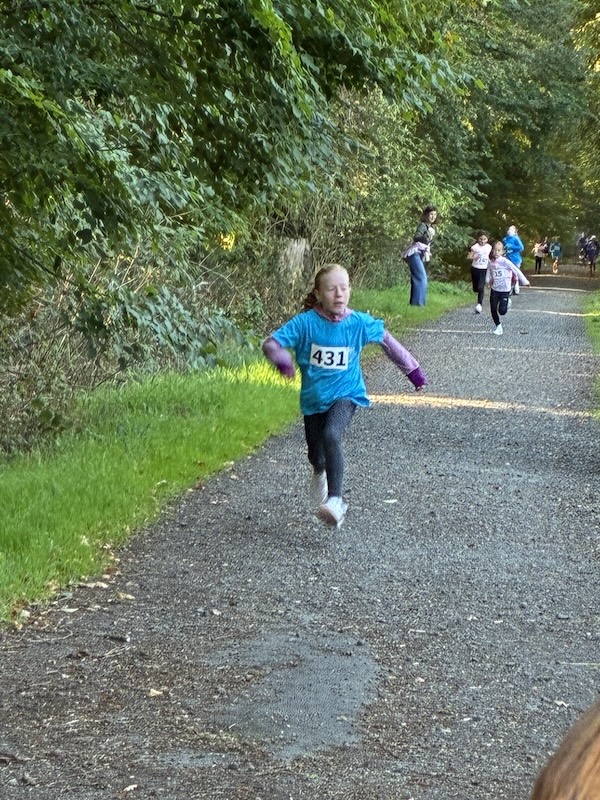 waldlauf6.jpg waldlauf6.jpg