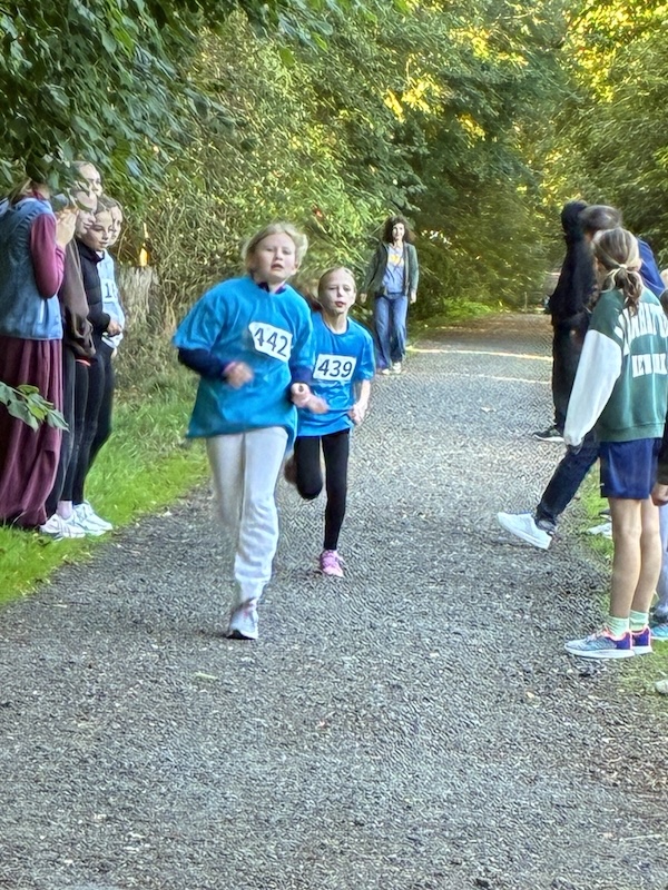 waldlauf8.jpg waldlauf8.jpg